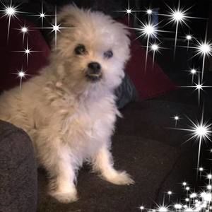 Meet your Posher, Sherry